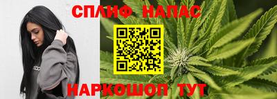 спиды Обь