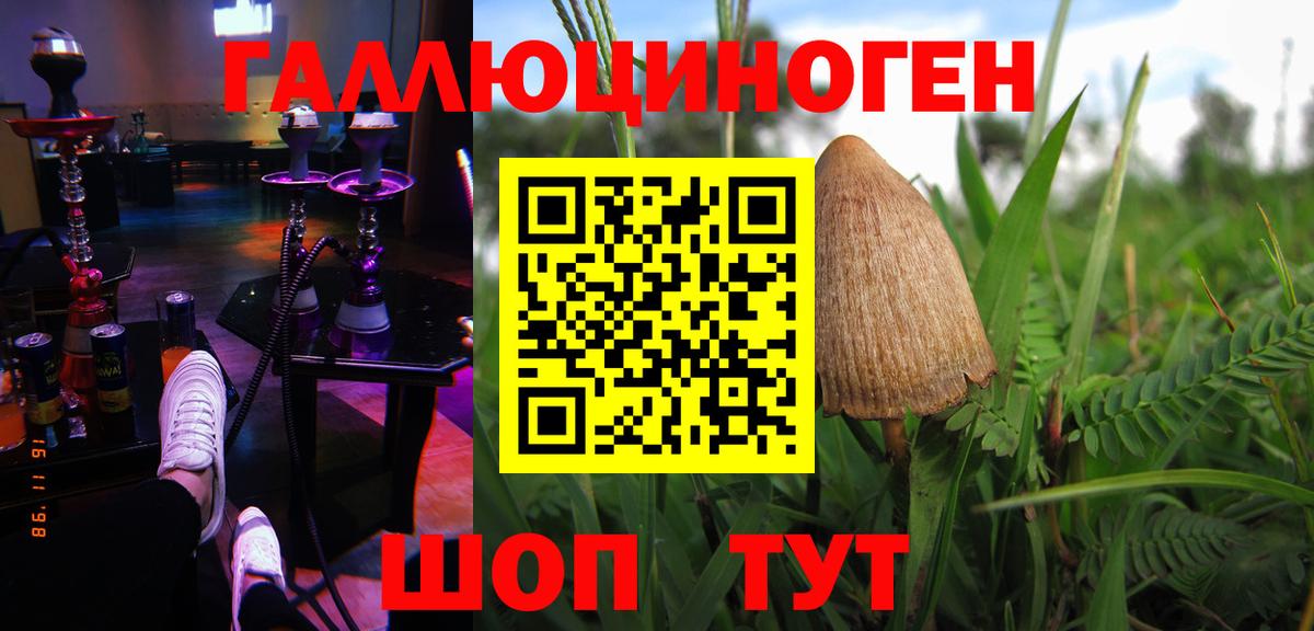 Тихорецк  Галлюциногенные грибы MAGIC MUSHROOMS  Вход с VPN  Псилоцибиновые грибы Magic Shrooms 
